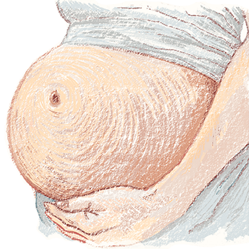 illustratie van zwangere buik voor adviespagina huidverandering zwangerschap van drs leenarts.