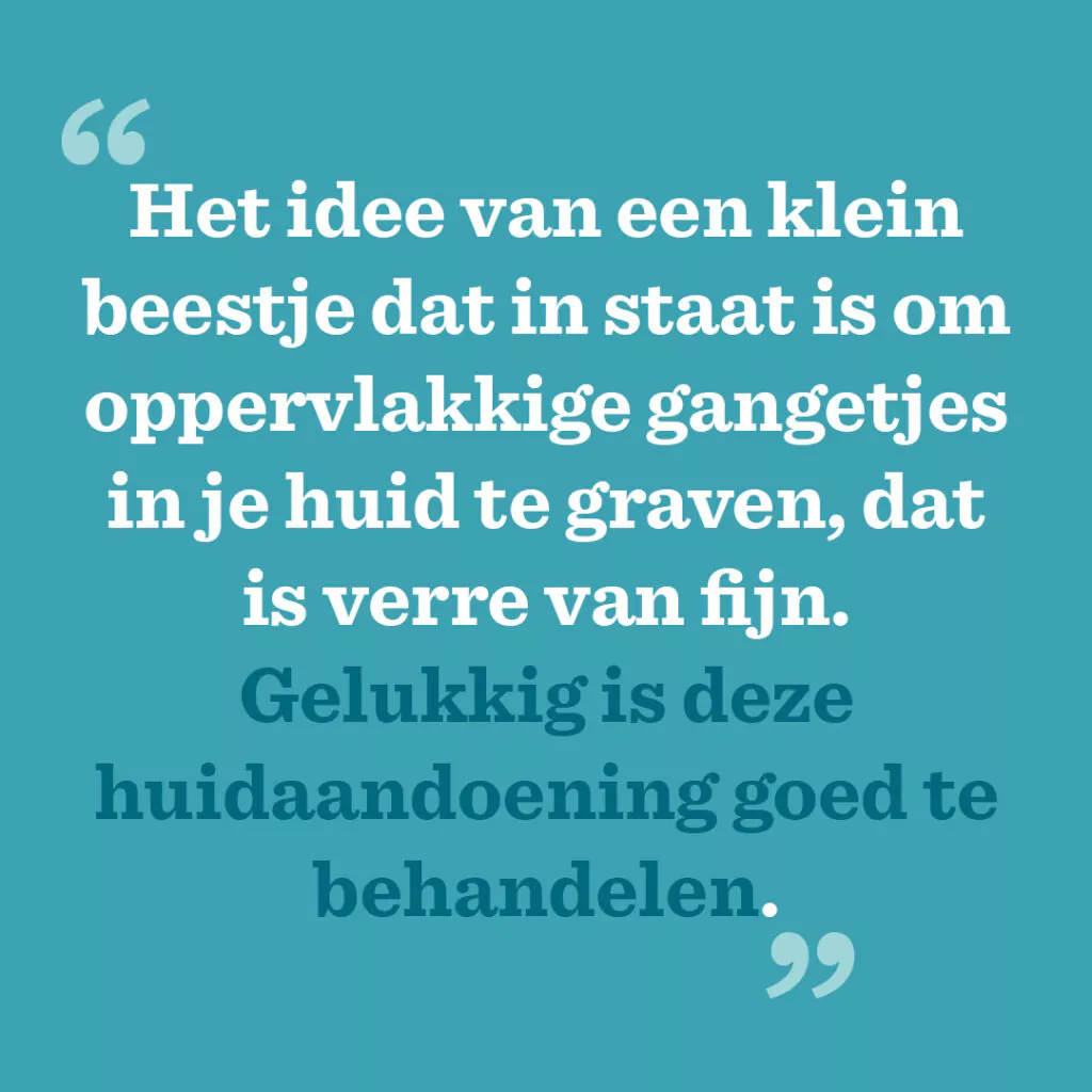 Het idee van een klein beestje dat in staat is om oppervlakkige gangetjes in je huid te graven, dat is verre van fijn. Gelukkig is deze huidaandoening goed te behandelen.