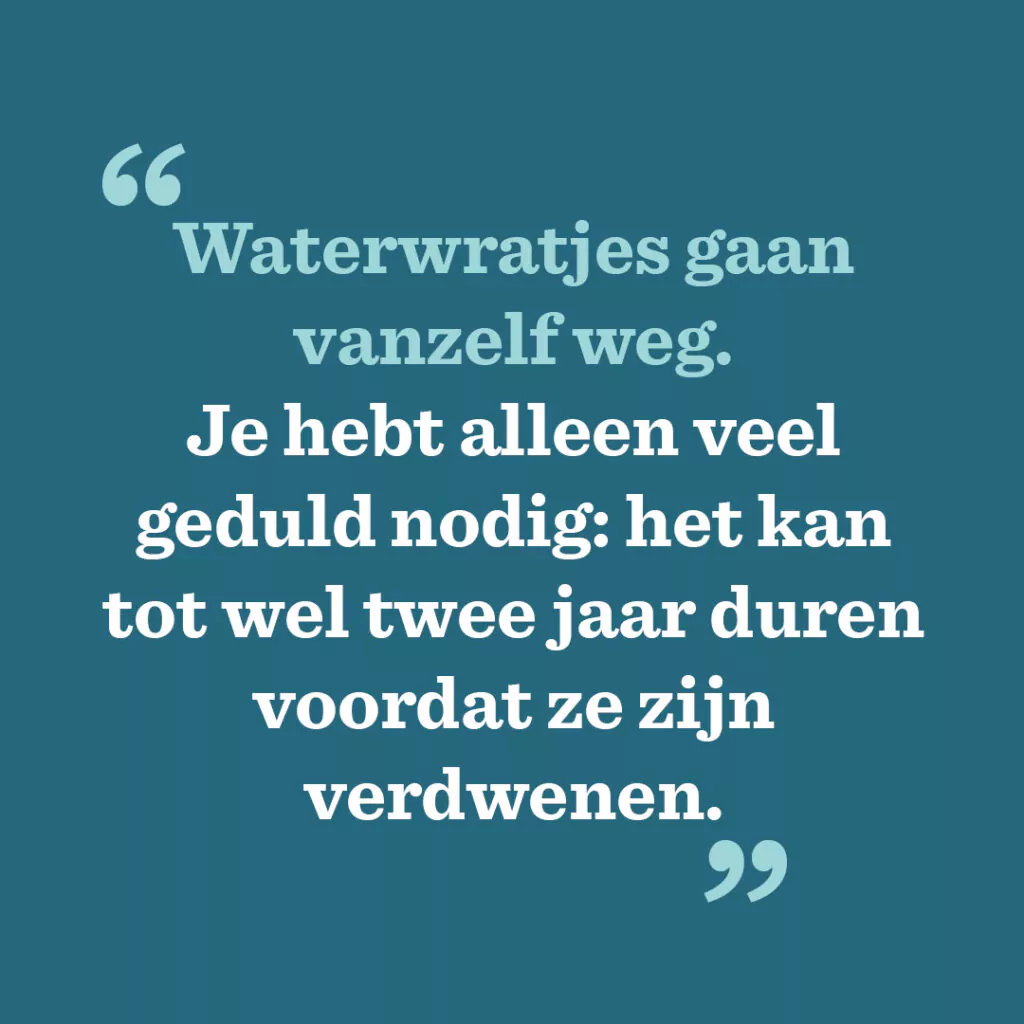 Waterwratjes gaan vanzelf weg. Je hebt alleen veel geduld nodig: het kan tot wel twee jaar duren voordat ze zijn verdwenen.